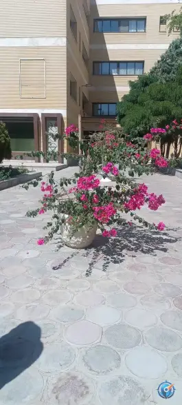 عکس دانشگاه سجاد 6