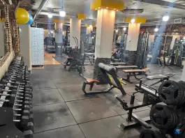 باشگاه بدنسازی استایل برتر