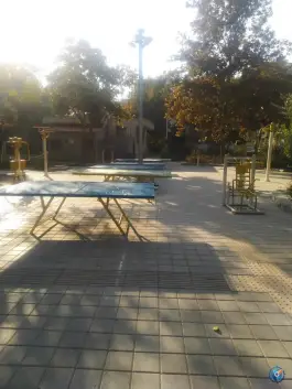 زمین بازی پینگ پنگ هفت چنار