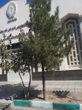 عکس درمانگاه عمومی بانک ملی استان قم 3