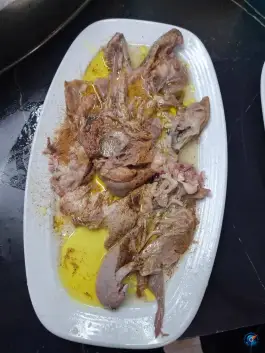 طباخی بره کوهی
