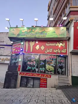 عکس طباخی بره کوهی 6