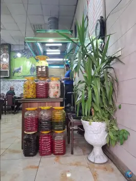 عکس طباخی بره کوهی 9