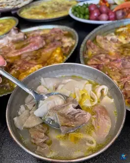 عکس طباخی حمیدی 2