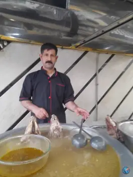 عکس طباخی بره سفید 2