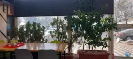 عکس طباخی بره سفید 3