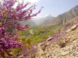 قلعه صدری قم؛ یادگار باشکوه بخش سلفچگان