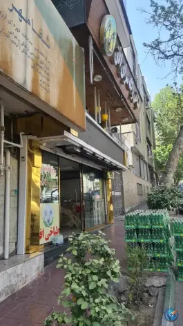طباخی افق