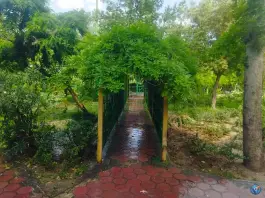 عکس پارک قبله 7