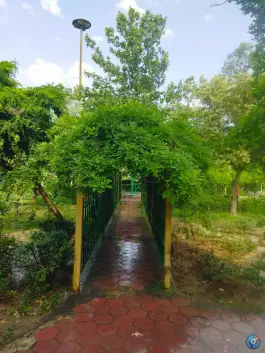 عکس پارک قبله 8