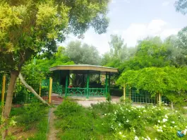 عکس پارک قبله 9