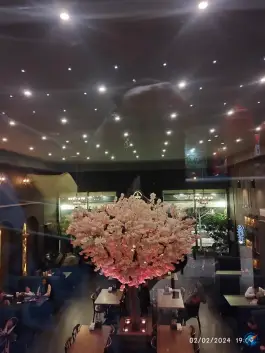 عکس فست فود دیبارو 6